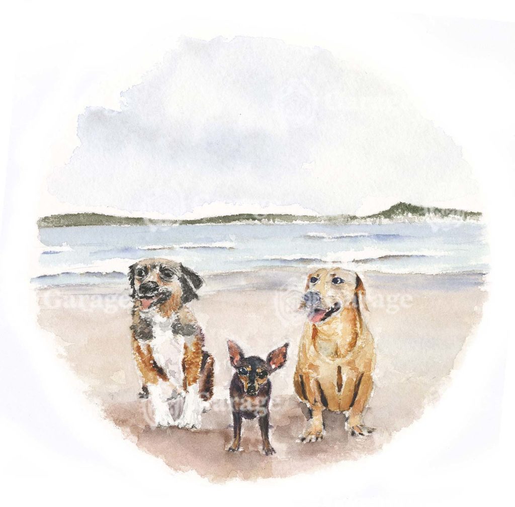 Animais - Cachorrinhos Animais - Cachorrinhos