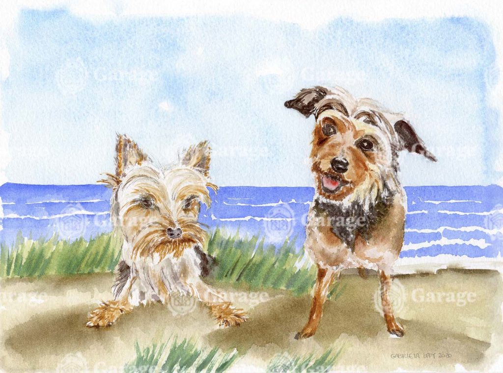 Animais - Cachorrinhos na praia Animais - Cachorrinhos na praia