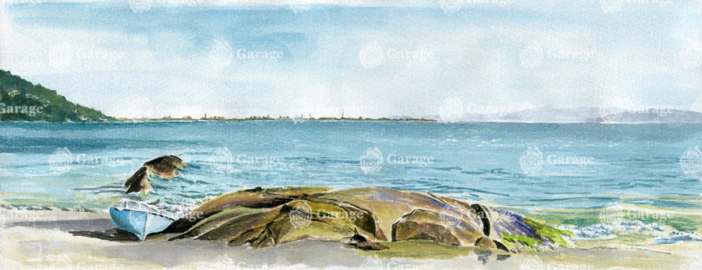 Forte Floripa SC Forte Floripa SC